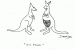 deana_sobel-roo